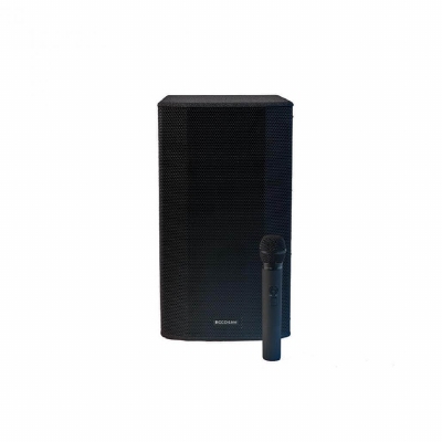 PL Audio AKKU BOX MAXI