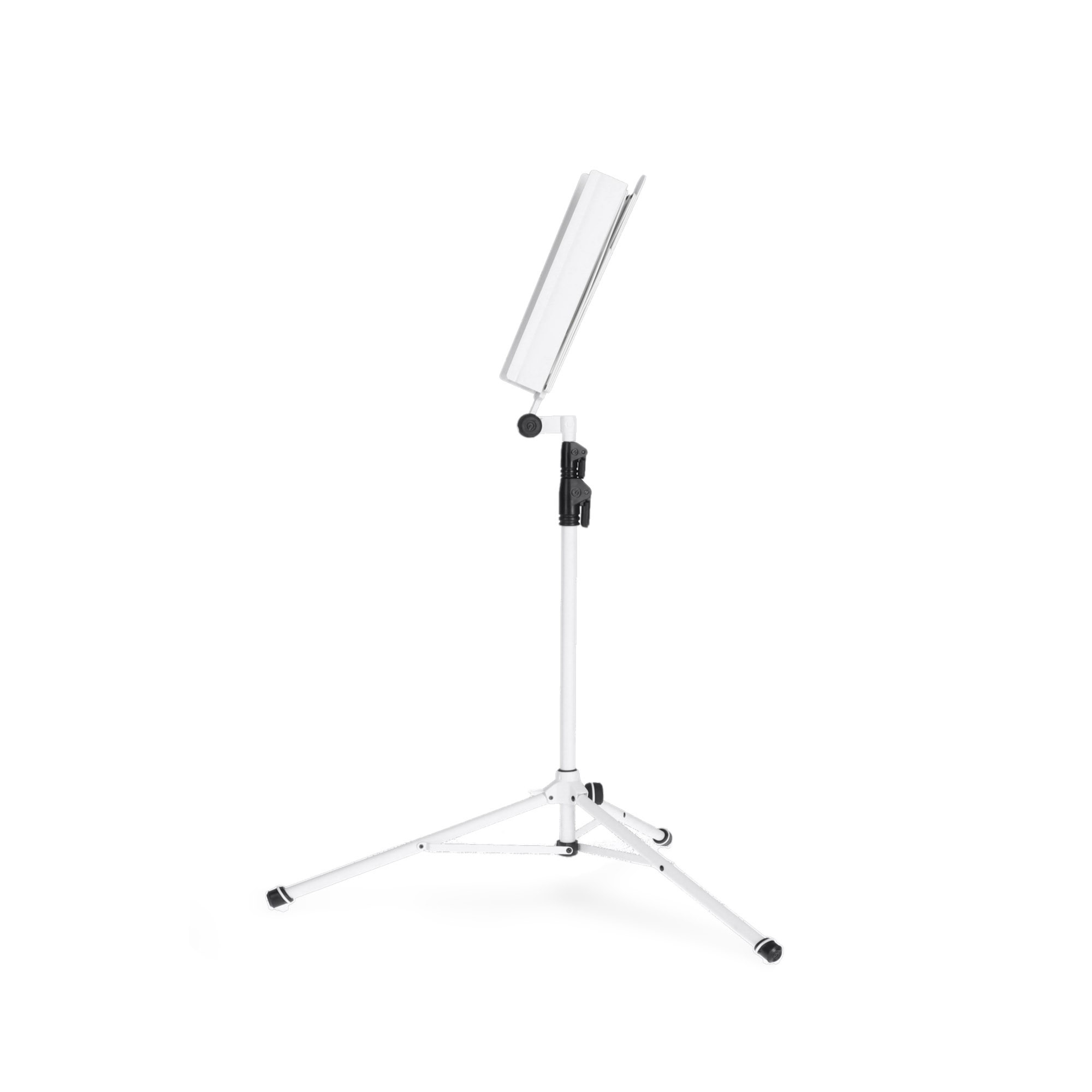 Gravity NS 441 W