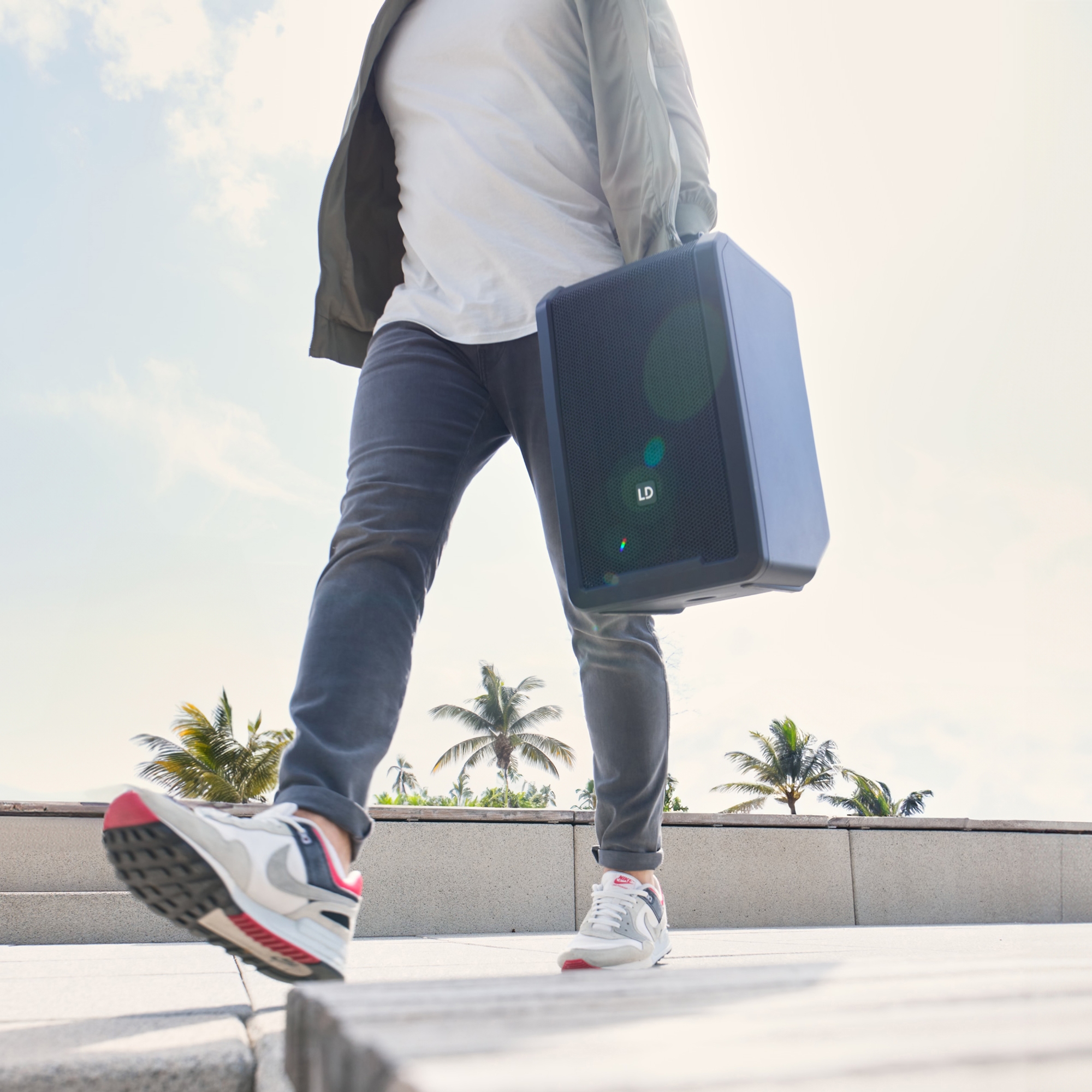 LD Systems ANNY 8 BPH