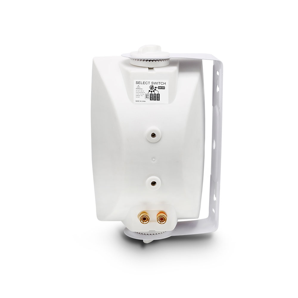 LD Systems CWMS 42 White 100 V