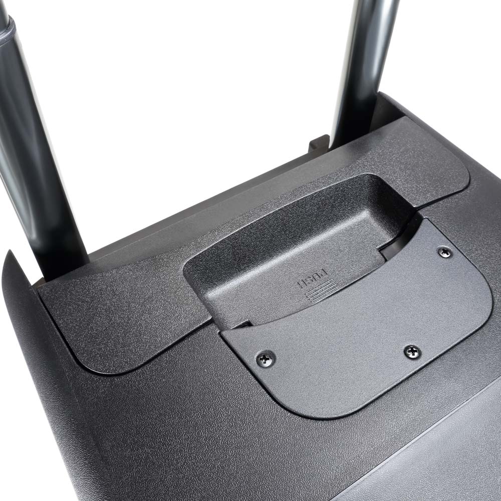 LD Systems ROADBUDDY 10