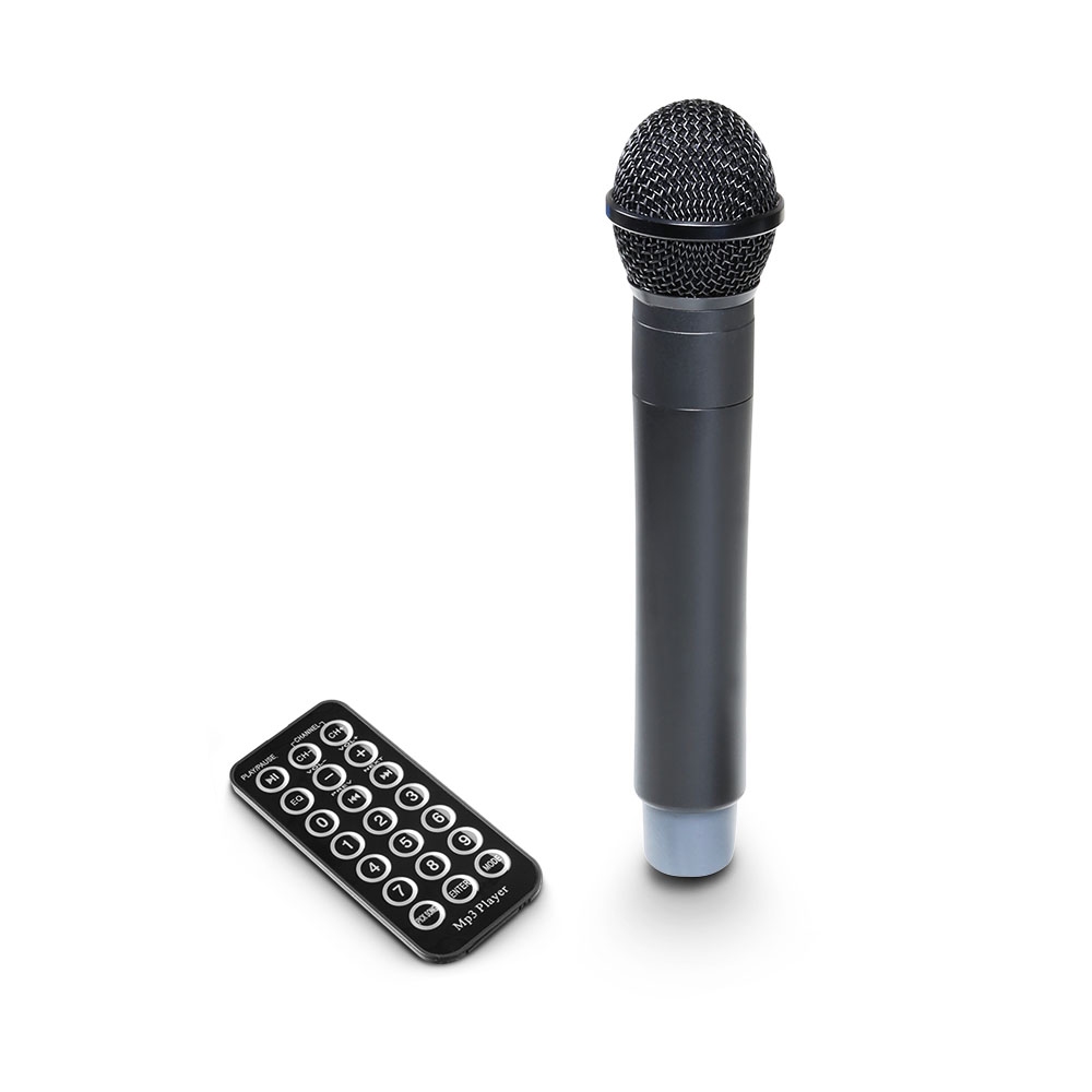 LD Systems ROADBUDDY 10