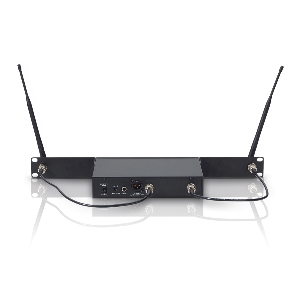 LD Systems WS 100 RK