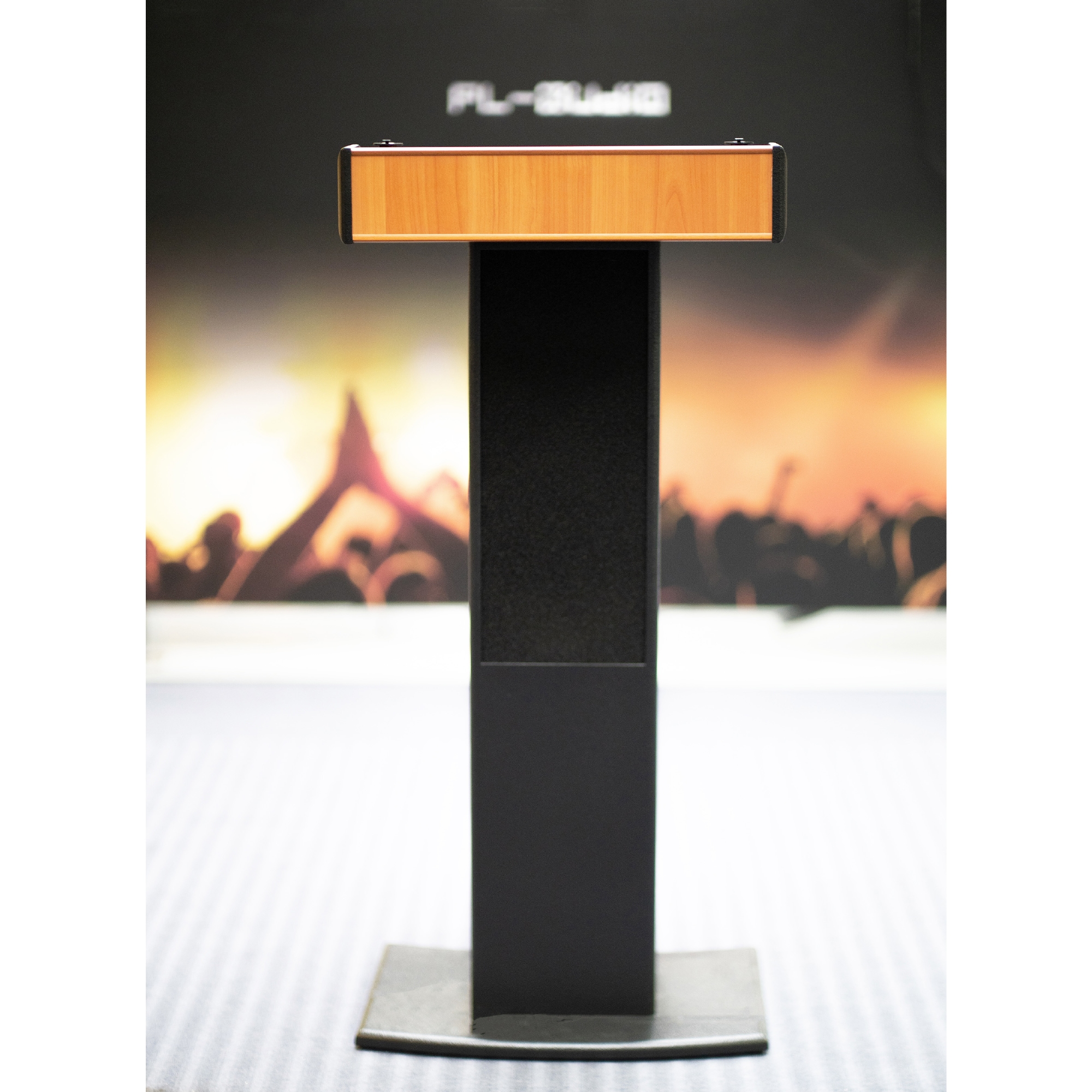 PL Audio Lektor 100