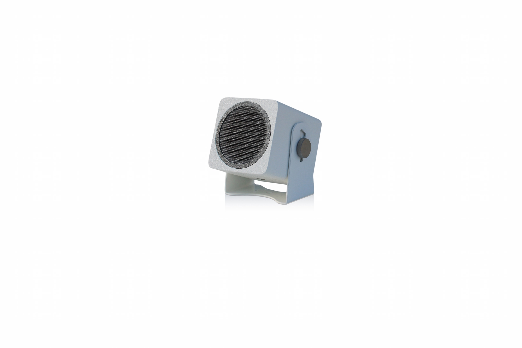 Voice-Acoustic Alea-4