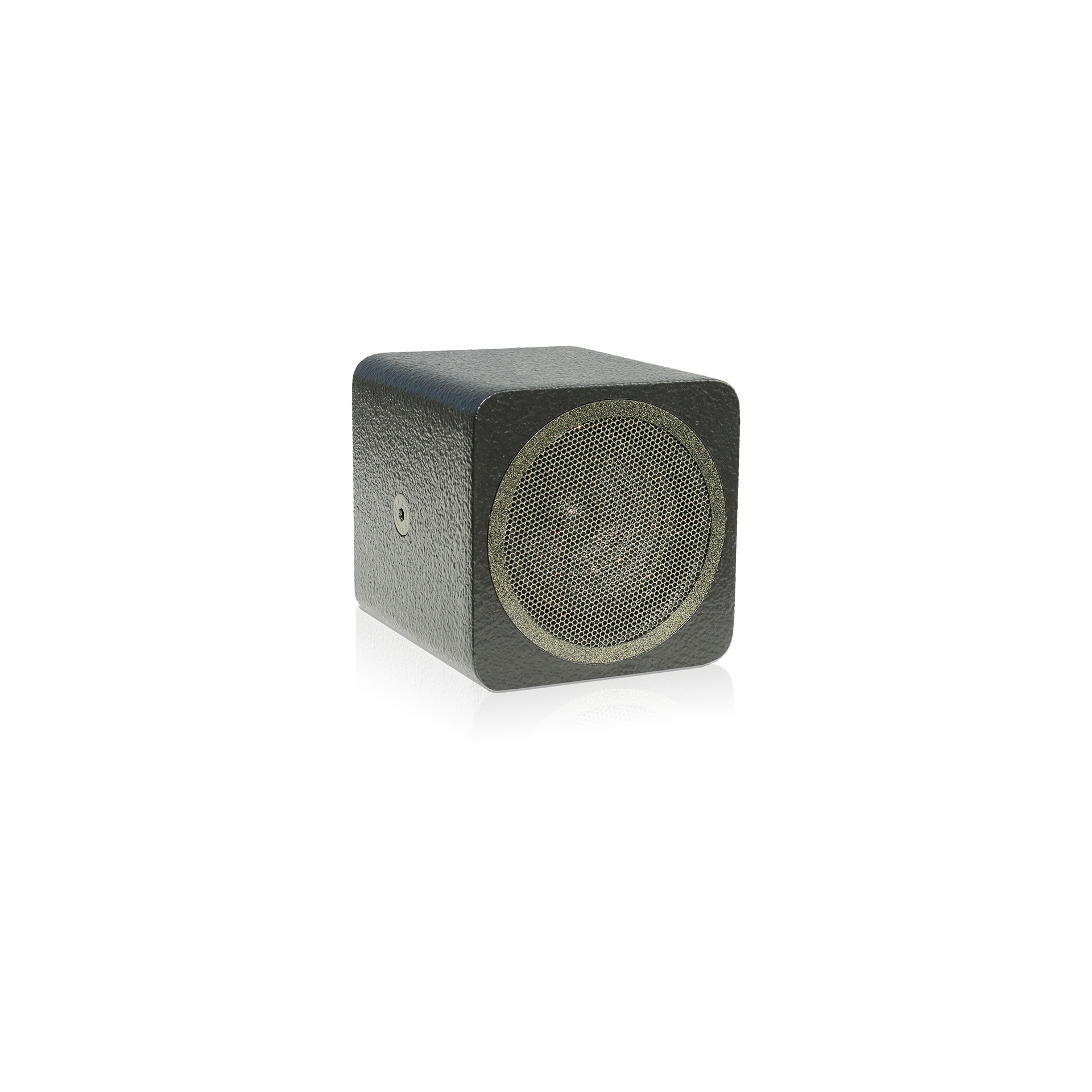 Voice-Acoustic Alea-4
