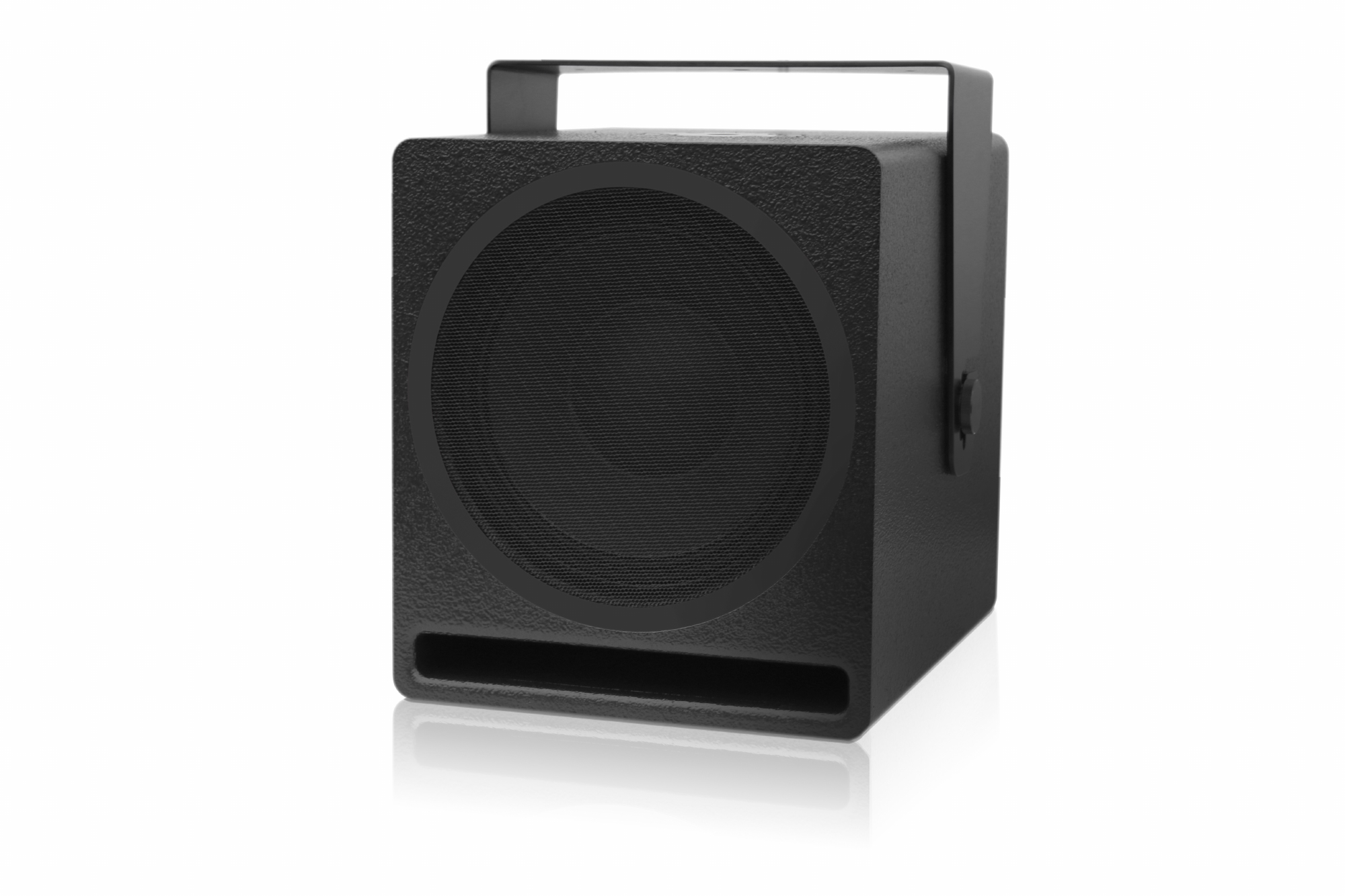 Voice-Acoustic Aleasub-10