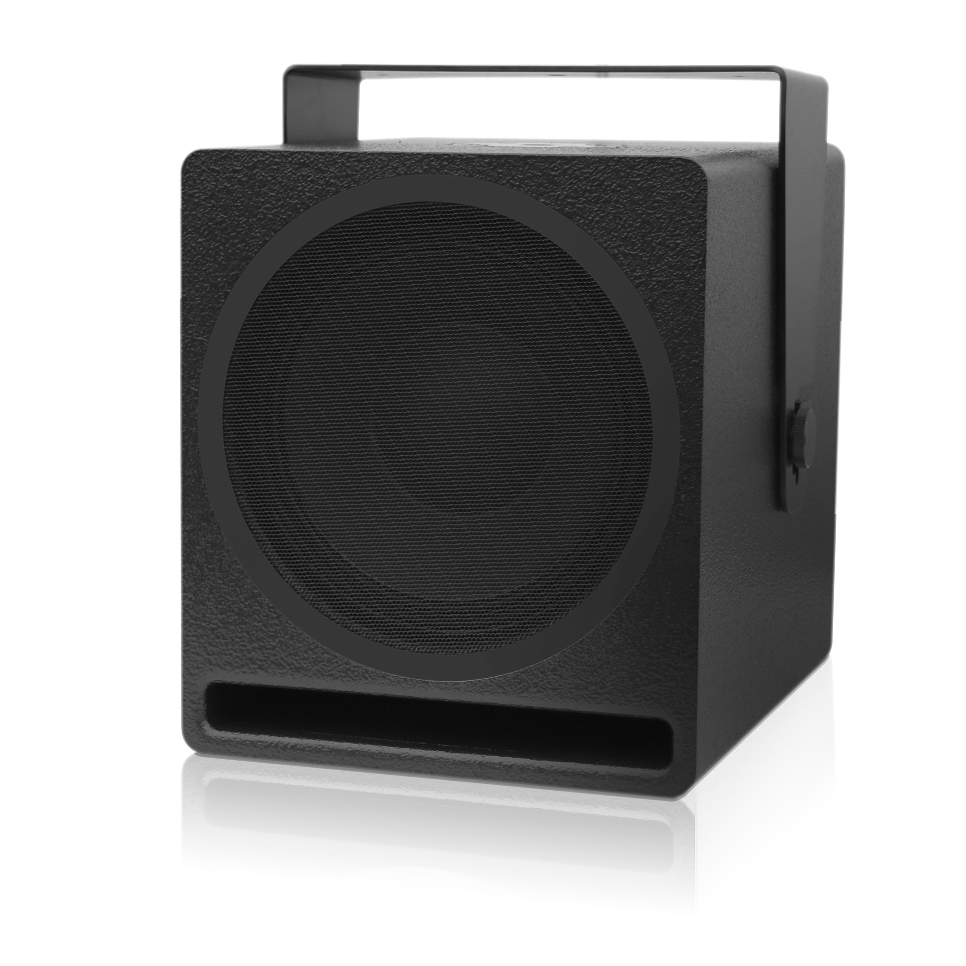 Voice-Acoustic Aleasub-10