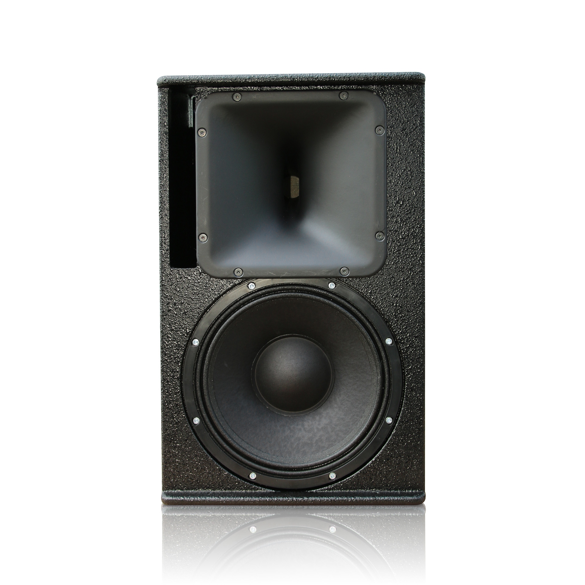 Voice-Acoustic Modular-12P