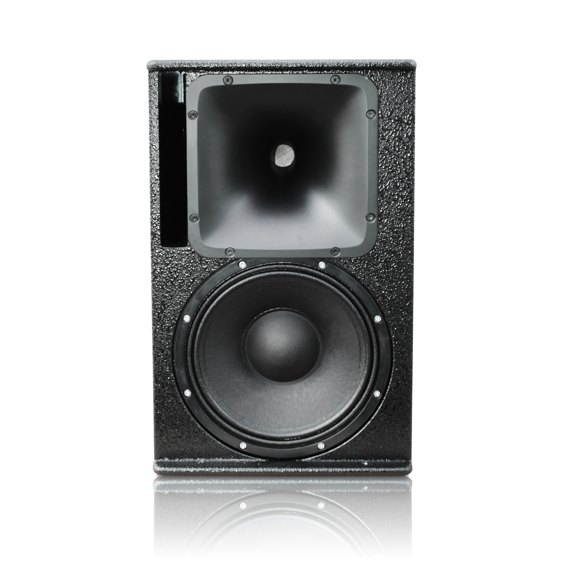 Voice-Acoustic Modular-12P