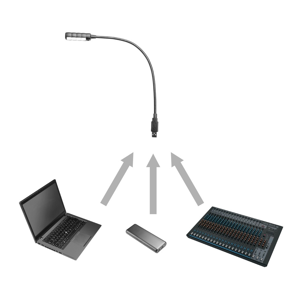 Zwanenhals USB Dual LED Lamp